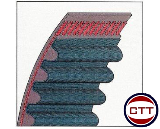 DÂY CUROA MITSUBOSHI 8M,14M